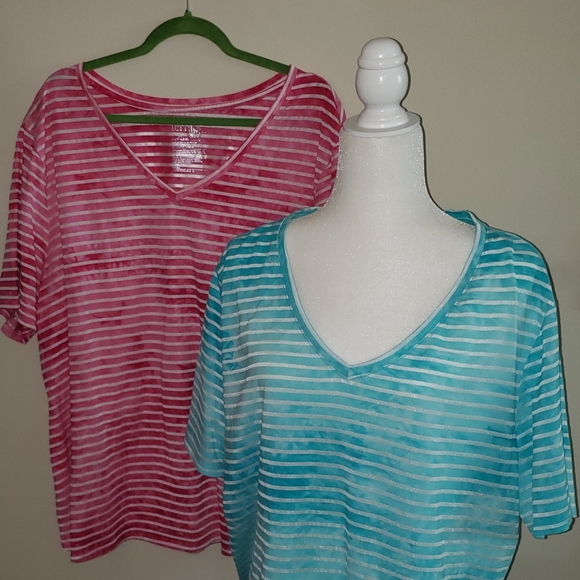 TERRA & SKY  2 Tees.  2x/3x - Picture 2 of 3